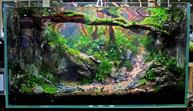 金魚魚缸鮮花店