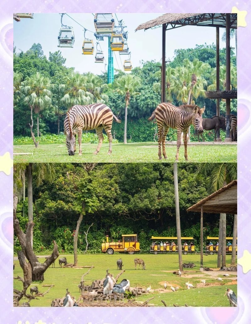 長隆野生動物園有哪些必去的景點？