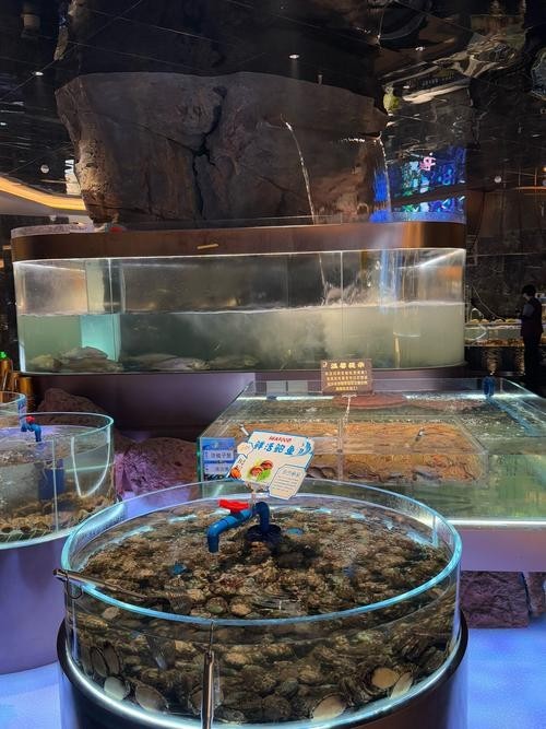 如何獲取西安龍魚展會的最新日程？