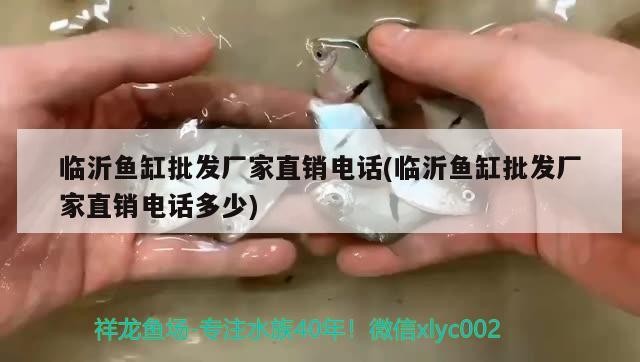 銀龍魚能在魚缸繁殖嗎：銀龍魚可以放魚塘嗎 銀龍魚能在魚缸繁殖嗎：銀龍魚可以放魚塘嗎 銀龍魚百科 第1張