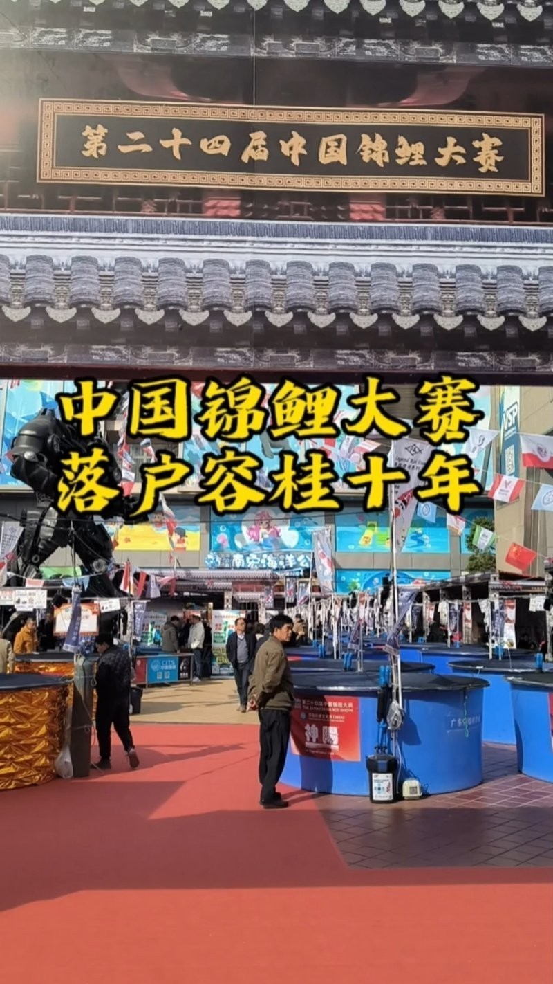 國內有哪些著名的錦鯉大賽？