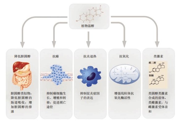 北京煙火科技有限公司（北京煙火科技有限公司官網）