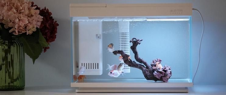 色彩魚缸怎么畫：色彩斑斕的魚缸繪畫技巧和技巧和技巧和技巧和技巧