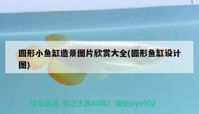 盤錦市興隆臺區旺鑫水族館（盤錦市興隆臺區旺鑫水族館電話）