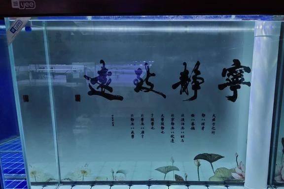 魚缸水質管理的誤區：換濾材后魚缸水模糊怎么辦？