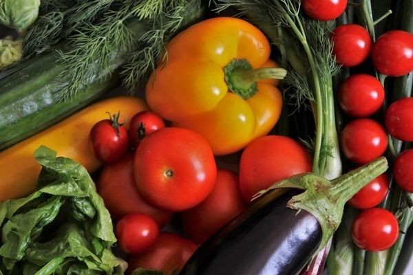 雷龍魚百科（關于雷龍魚的介紹）