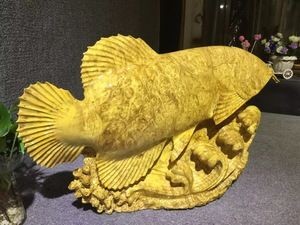 龍魚哪里買好又便宜又好吃：新埠島碼頭海鮮市場攻略紅龍魚養殖技巧分享