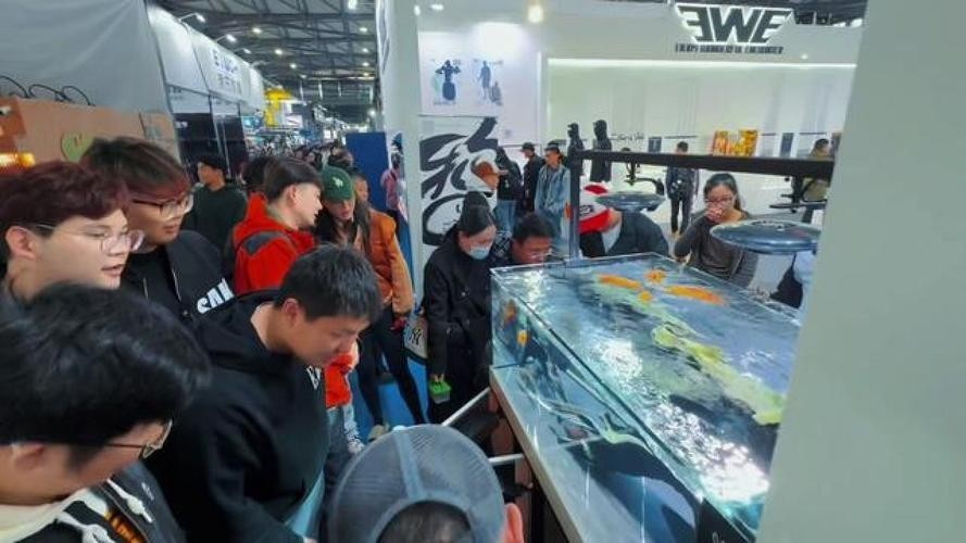 2024年漁具展有哪些新品發布？ 2024年漁具展有哪些新品發布？ 2025長城杯龍魚大賽 第4張