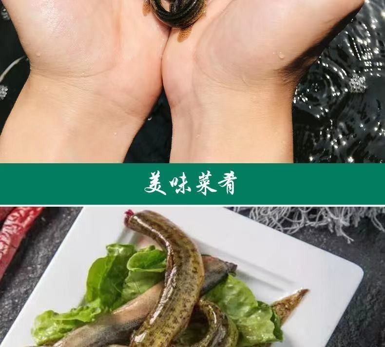 龍魚可以喂什么生肉好：龍魚作為肉食性魚類，可以喂食多種類型的生肉，以下幾種適合喂食