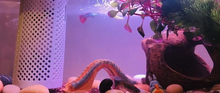 畫法幾何懶人魚缸使用說明：懶人魚缸使用說明