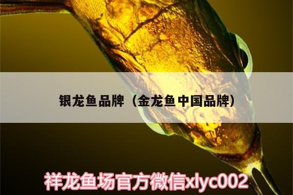 銀龍魚品牌（金龍魚中國(guó)品牌）