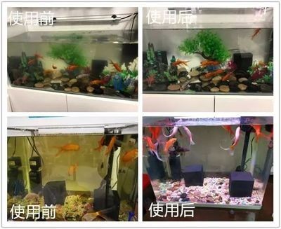 魚缸魔方怎么用：“魚缸魔方怎么用詳情”使用方法包括以下幾個方面