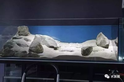 一米的魚缸寬度多少合適