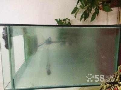 一米的魚缸寬度多少合適