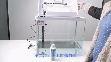 剛買的魚缸需要進行消毒處理以下幾種常見的魚缸消毒方法：剛買的魚缸在養魚前需要進行消毒處理以去除潛在的有害物質和細菌