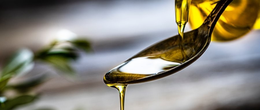 金龍魚高管薪酬如何？