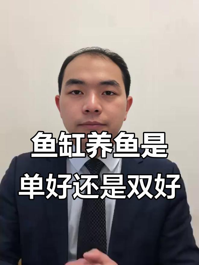 為什么養(yǎng)魚雙數(shù)是大忌