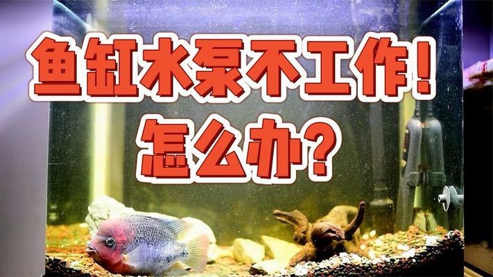 青縣尼莫水族館（青縣尼莫水族館電話）