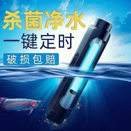 龍魚燈的清潔劑有哪些推薦