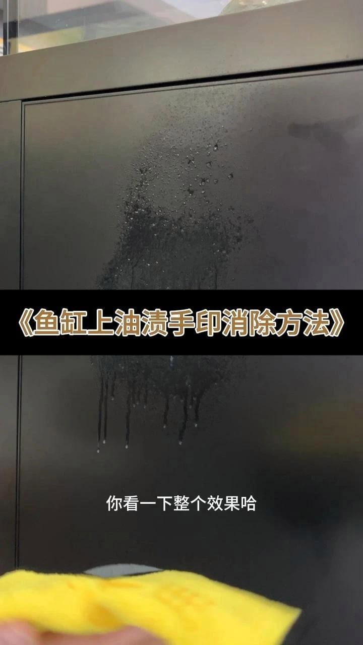 龍魚燈的清潔劑有哪些推薦