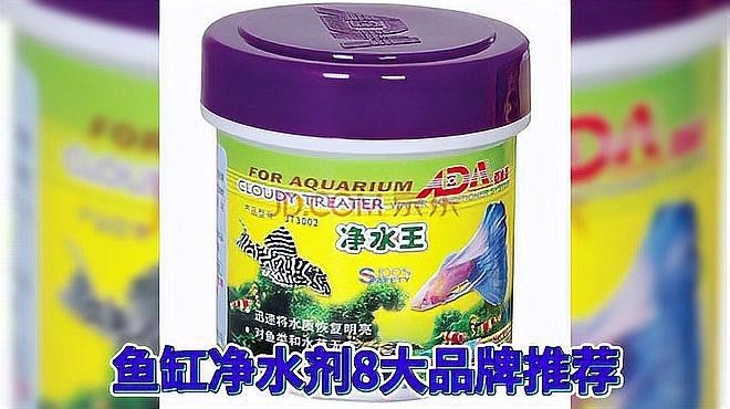 龍魚燈的清潔劑有哪些推薦
