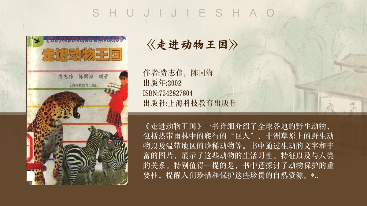 東北虎的外形特征