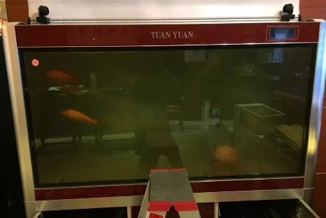 魚缸老水是什么樣的：關于魚缸老水的一些詳細信息 魚缸老水是什么樣的：關于魚缸老水的一些詳細信息 魚缸百科 第1張