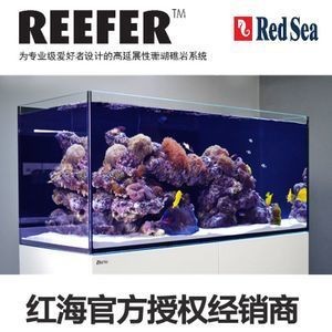 redsea紅海魚缸的售后服務：redsea紅海魚缸售后服務