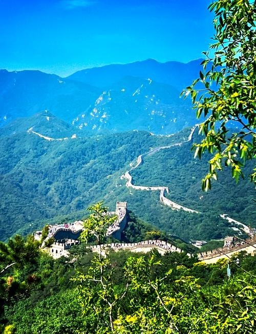 長城可以帶寵物進去嗎