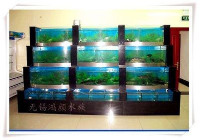 尋找專業的海鮮魚缸制作廠家時可以參考以下幾個選項：如何打造個性化海鮮魚缸