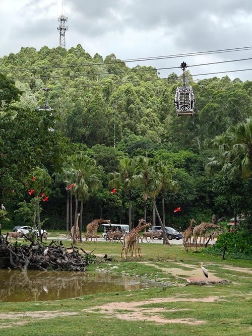 廣州長隆野生動物園開放時間是？