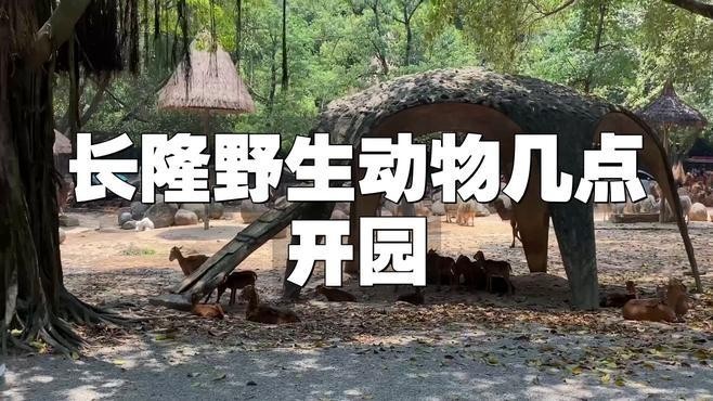 廣州長隆野生動物園開放時間是？