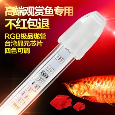 金龍魚專用燈排行第幾：金龍魚專用燈在京東上排行第幾？