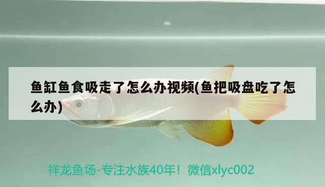 易縣龍華小明漁具店