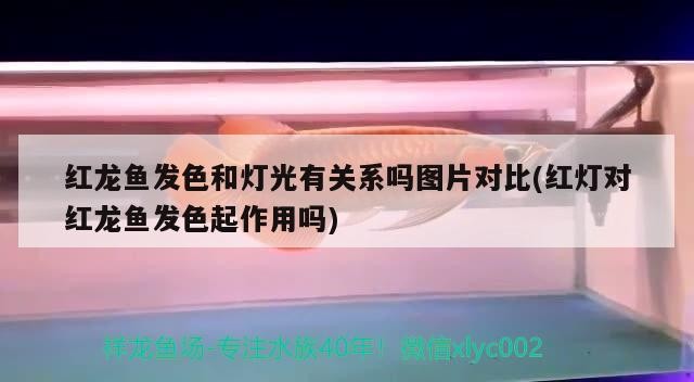 易縣龍華小明漁具店