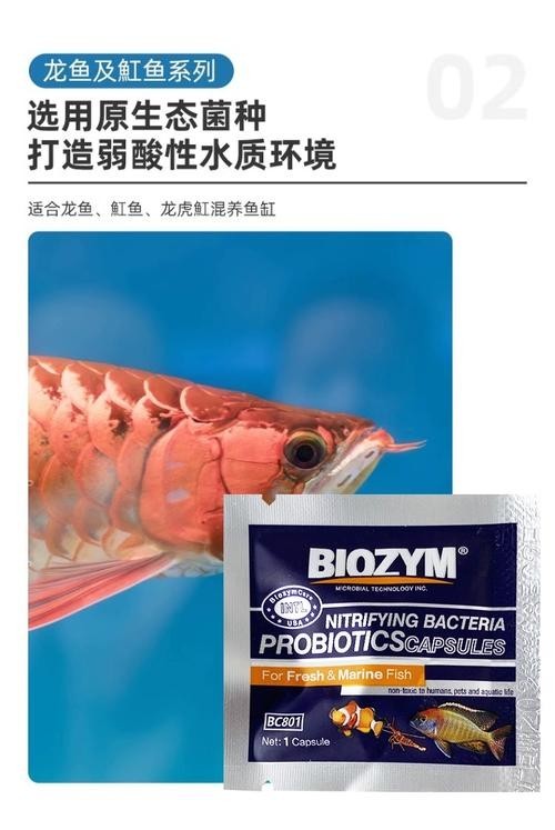 龍魚專用硝化細(xì)菌有哪些推薦？