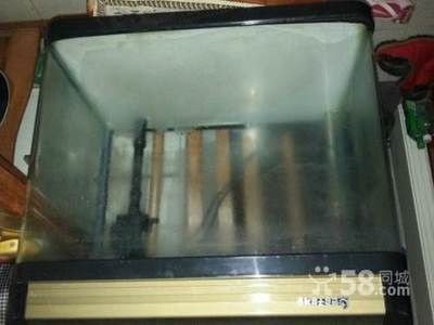魚缸造景的藝術與技巧魚缸造景的基本原則和高級技巧：沉木的種類與選擇