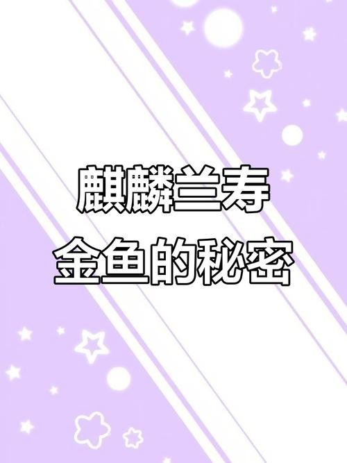 麒麟蘭壽金魚的價(jià)格是多少? 2025長(zhǎng)城杯龍魚大賽 第5張 麒麟蘭壽金魚的價(jià)格是多少? 麒麟蘭壽金魚的價(jià)格是多少? 2025長(zhǎng)城杯龍魚大賽 第5張