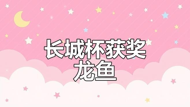 紅龍魚比賽冠軍視頻大全