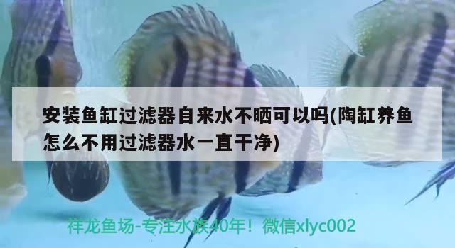 安裝魚缸過濾器自來水不曬可以嗎(陶缸養魚怎么不用過濾器水一直干凈)