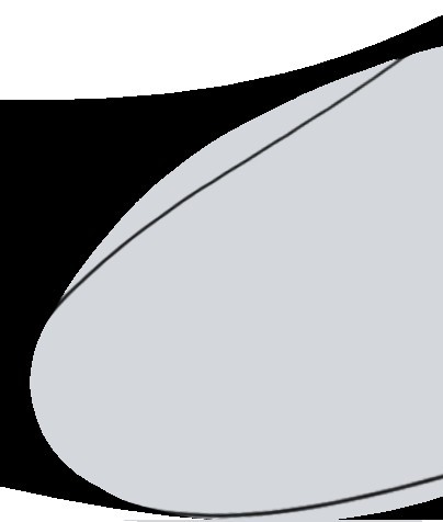 張大偉的《警院雪頌》有哪些意象？