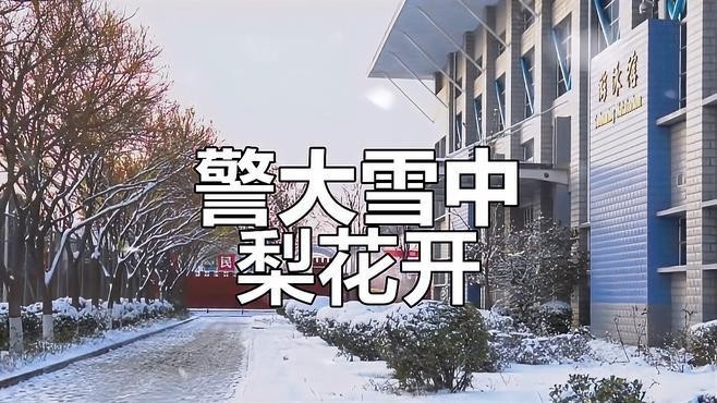 張大偉的《警院雪頌》有哪些意象？