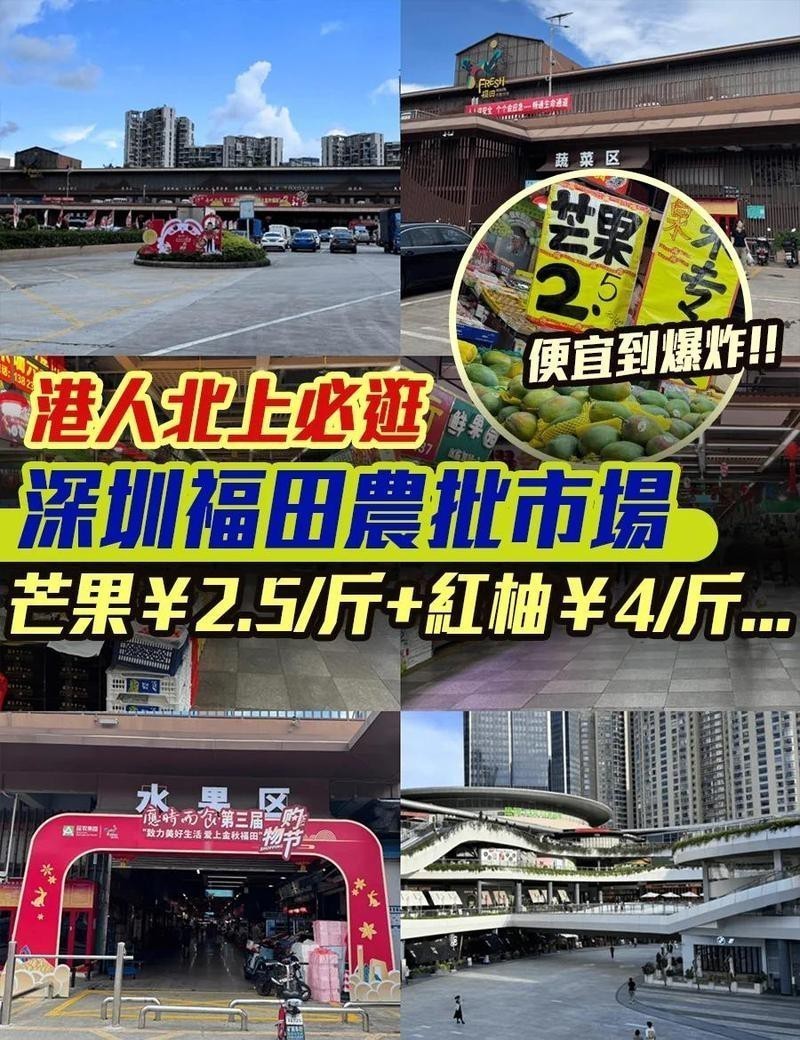 深圳最大觀賞魚市場(chǎng)