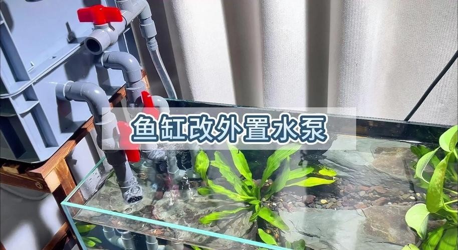 推薦幾款性價比高的養魚水泵