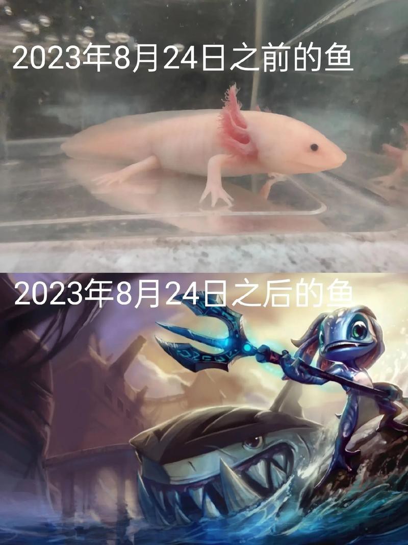 六角恐龍魚圖片大全大圖欣賞