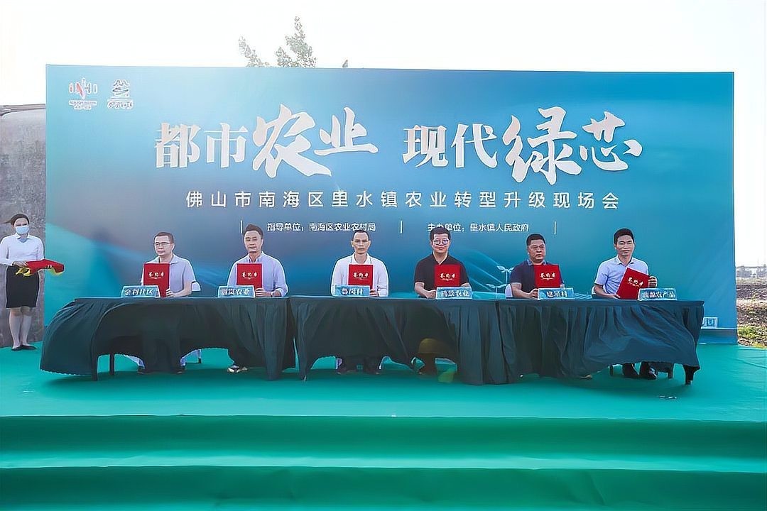 廣州龍魚漁場哪家口碑最好？