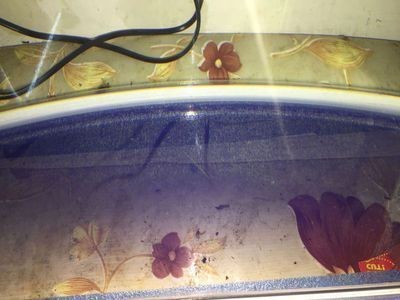 森森魚(yú)缸下面漏水怎么回事，森森魚(yú)缸漏水如何緊急修補(bǔ)魚(yú)缸底部不平時(shí)如何調(diào)整