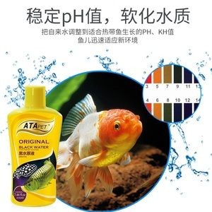黑水素對紅龍魚的作用和功效是什么：如何自制黑水素改善魚缸環境，紅龍魚常見疾病的預防方法