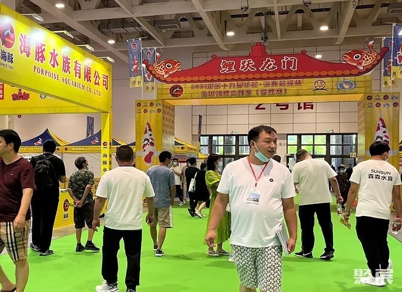 如何購買華晨寵物水族展的門票？