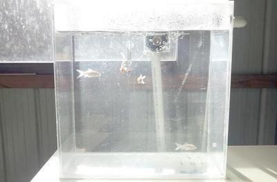 夢拿科魚缸價格：夢拿科魚缸價格對比夢拿科魚缸價格為560元